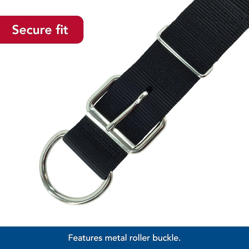 Coastal Pet Macho Double-Ply Dog Collar with Roller Buckle, Comfortable Durable Heavy-Duty Collar, Black, 20"