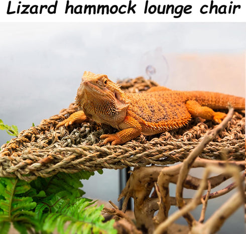 Tfwadmx 3 Pack Bearded Dragon Hammock - Natural Seagrass Fibers for Lizards, Geckos, Anoles, Iguanas, Hermit Crabs