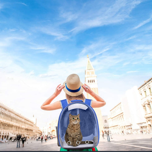 Henkelion Cat Backpack Carrier, Space Capsule for Small Medium Dogs and Cats, Navy Blue Airline Approved