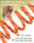 Joytale Long Leash for Dogs, Training Leash with Removable Padded Handle, Double Hook, 15FT/30FT/50FT/65FT for