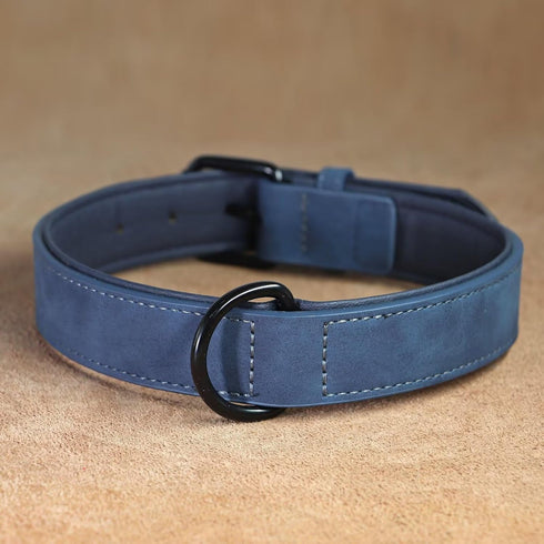 Didog Soft Padded Leather Dog Collar, Breathable Heavy Duty Leather with Adjustable Rust-Proof Metal Buckle for Small