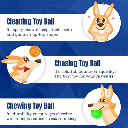 CoCoo 3-Pack Squeaky Dog & Ferret Ball Toys, 2.3", Spikey Rubber Balls for Multi-Pet Homes, Toss Fetch