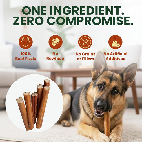 25 Pack 6 Inch 100% Standard Bully Sticks for Medium to Large Dogs Beef Pizzle, Single Ingredient Rawhide-Free Dental