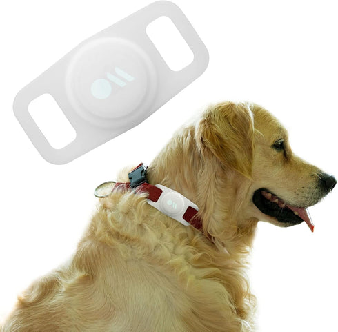 Case-Mate Airtag Dog Collar Holder | Water Resistant Airtag Holder | Protective Case for Dog Collar - Glow in The Dark