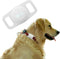 Case-Mate Airtag Dog Collar Holder | Water Resistant Airtag Holder | Protective Case for Dog Collar - Glow in The Dark