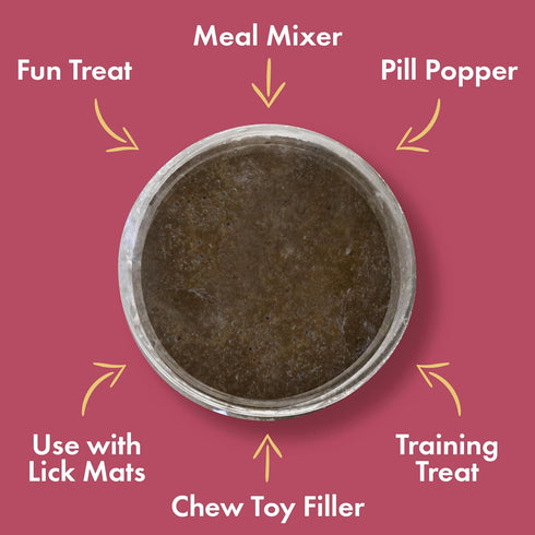 Visionary Pet Foods Tasty Spread for Dogs - Salmon Recipe - Healthy Dog Treat - Dog Treat Pouch - 10oz Jar