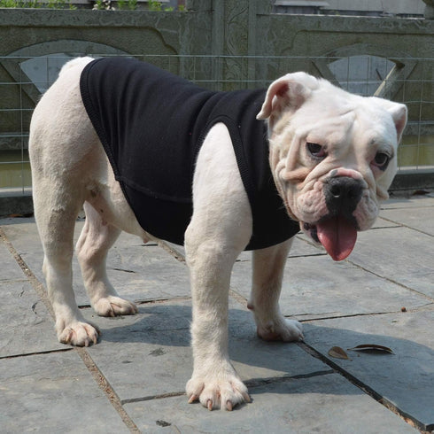 Lovelonglong 2019 Summer Pet Clothing, Dog Clothes Blank T-Shirts, Ribbed Tanks for Bulldog Pit Bull, 100% Cotton Black