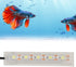LED Aquarium Light - Small USB Fish Tank White Light for Daily Lighting and Plant Growth