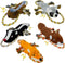 MAOOOOB Dog Squeaky Toys, No Stuffing 5-Pack Dog Toys, Crinkle Plush Dog Toys