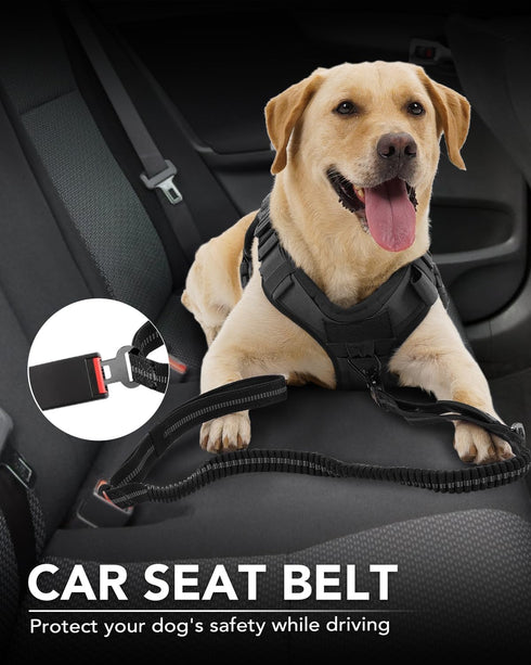 Joytale Tactical Dog Leash - Heavy Duty 4-6FT Shock Absorbing Bungee with 2 Padded Handles, Black
