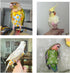 3-Packs Bird Diaper Flight Suit, Lightweight Reusable Washable Elastic-Straps Parrot Clothes for Peony/Monk Parakeet