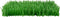 Instincts by SmartyKat 2-Pack Meadow Mayhem Hide & Seek Paper Grass Rustle