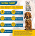 Dog Chain Collar, Diamond Link Walking Necklace with Secure Buckle for Small Medium Large Dogs Cats (Gold, 10 Inch)