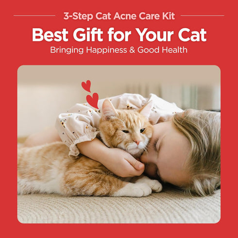 3-Step Chin(1EA) Wipes(30PCS) Brush(1EA) JAYU PET Cat Acne Care Kit - Hypoallergenic Cleanser for Feline Acne, Cat