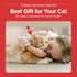 3-Step Chin(1EA) Wipes(30PCS) Brush(1EA) JAYU PET Cat Acne Care Kit - Hypoallergenic Cleanser for Feline Acne, Cat