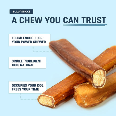 6 10 Count- Big Lu - Jumbo Bully Sticks, Thick, Long-Lasting, Grass-Fed Beef Chews for Medium & Large Dogs, Natural