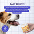 Immunity, 2.12 oz Wonder Paws Organic Turkey Tail Mushroom for Dogs Powerful Turkey Tail for Dogs Mushroom Powder