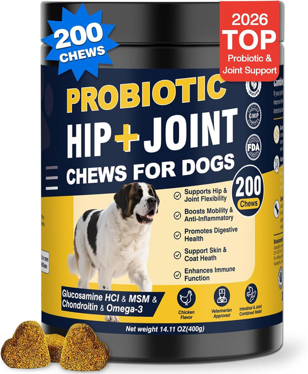 Hip and Joint Supplement for Dogs Dog Probiotics Glucosamine Chondroitin MSM Chew