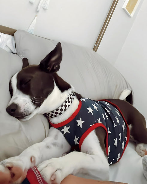 Fitwarm Patriotic Star Dog Shirt - 4th of July Holiday Clothes for Small Dogs, 100% Breathable Cotton