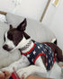 Fitwarm Patriotic Star Dog Shirt - 4th of July Holiday Clothes for Small Dogs, 100% Breathable Cotton