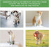 Sanfire 12 Vet Wrap Self Adhering Bandage Wrap Cohesive Bandage Multi-Function Wrap Tape for Dogs Cats Horses Birds