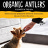Snatchers Whole Elk Antlers for Dogs – Durable, Naturally Shed Antlers for Mild to Aggressive Chewers (Medium 1 Count)