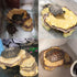 kathson Resin Basking Platform for Turtles, Tortoise Climbing Ramp, Reptile Hides, Aquarium Decorations for Lizards