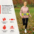 Winners' Running Fuel Belt - No.1 Hydration Belt with 2 BPA Free Water Bottles and Accessories