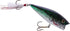 Heddon Pop'N Image Topwater Fishing Lure, Excellent Popping and Walk-The-Dog Action