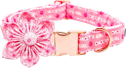 Lionheart Glory Valentine's Day Dog Collar with Flower, Pink Dog Collar with Bowtie for Small Dogs
