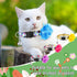 Weewooday 4 Pcs Spring Cat Collar for Girl Cats, Adjustable Flower Collars with Bell for Holiday Party and Daily