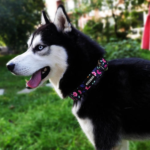 KISSBAK Medium Dog Collar, Soft Adjustable Floral Design for Cute Girl Puppy Dogs (M, Floral)
