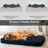 JoicyCo Orthopedic Foam Dog Bed for Extra Large Dogs, 47 Inch Jumbo XL Mattress with Non-Slip Bottom and Removable Cover