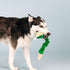 Fringe Studio Plush Dog Toy, Hisses & Kisses, Pet Shop Collection (314206)