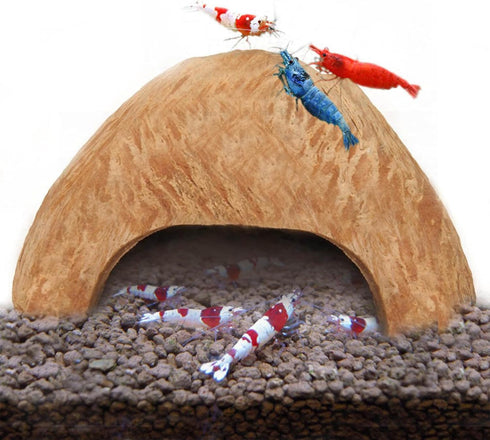 SunGrow Coconut Aquarium Shrimp Cave, Small Fish Tank Decorations, Comfortable Shelter for Crustaceans