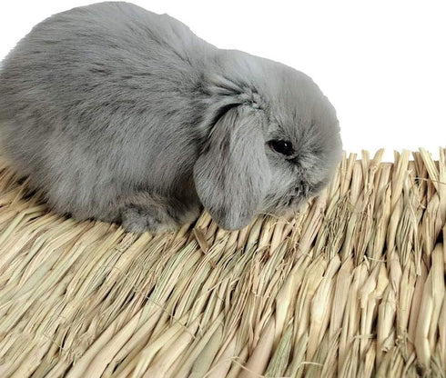 15 Pack Chinchilla Hamiledyi Woven Bed Mat for Rabbits - Grass Mat & Bunny Bedding Nest - Natural Chew Toy Bed
