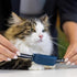 4 x3, tractive GPS CAT Collar Attachment Midnight Blue, Glow-in-The-Dark, Snow
