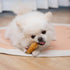 MON2SUN 3 Inch 21.16oz (16 Count Pack 1) Rawhide Free Dog Treats, Chicken Wrapped Rolls, Low Fat and Training Snacks