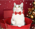 Malier 2 Pack Christmas Cat Collars Breakaway with Bow Tie and Bell, Classic Buffalo Plaid Kitten Collar for Cats