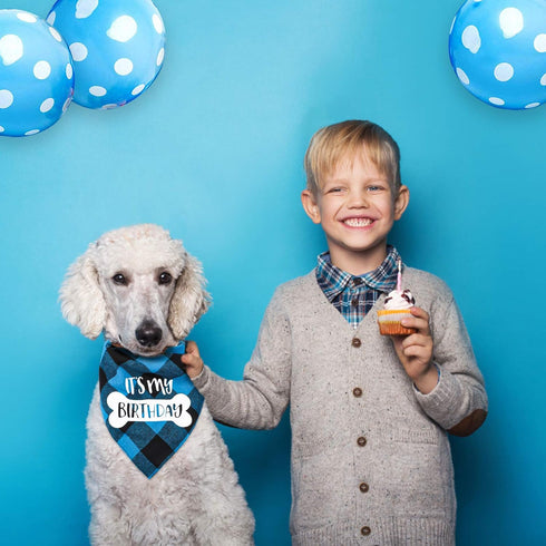 VIPITH Double Sided Cotton Dog Birthday Bandana Girl Boy, Washable Reversible Plaid Painting Dog Scarf Bibs for Small