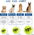 2.5'', 20Pack INSUM Squeaky Dog Balls - Squeaky Tennis Balls for Dogs, Multicolor | Medium
