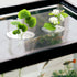 RRUAAZIW 12PCS 2 Creative Floating Floral Arrangement Holder,Floating Flower Display Stand Include Fish Tank Shelf DIY