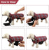 MIGOHI Dog Jackets for Winter, Windproof Waterproof Reversible Dog Coat for Cold Weather, British Style Plaid Warm Vest