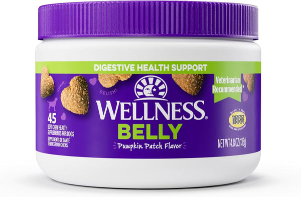 Wellness Pumpkin Patch Flavored Soft Chew Digestive Health Supplements for Dogs, 45