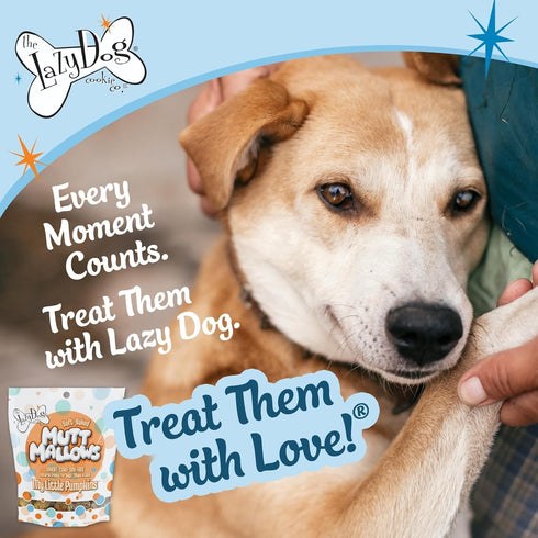 The Lazy Dog Cookie Co. Soft Dog Treats, Mutt Mallows My Little Pumpkin, for Small, Medium and Large Dogs, Wheat-Free, Baked in The USA, 5 oz. (Pack of 3) Pumpkin