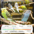 LUKHMELF Finches. Bird Nail Grinder,Bird Beak Grinder,Silenced Bird Nail File with LED Lamp,Suitable