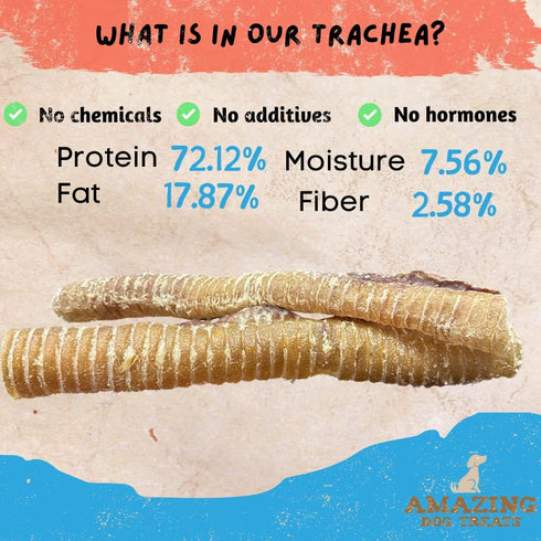 12 Inch (10 100% Amazing Dog Treats - Beef Trachea Chews for Dogs pcs/pk) - Natural Trachea Dog Treats - Excellent