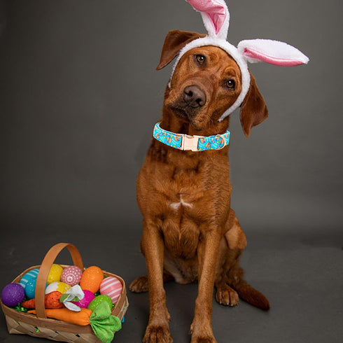 Lionheart glory Easter Dog Collar, Colorful Adjustable Heavy-Duty Puppy Collar with Easter Egg Print for X-Small Dogs