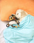 HGB Squeaky Dog Toys - Plush Chew Toys for Puppy Teething, Interactive Toys for Small and Medium Dogs