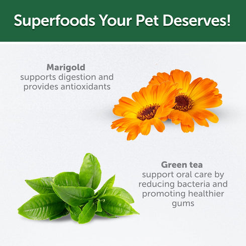 5.29 oz) Nature's Protection Dental Chews for Dogs - Grain Free Dental Sticks - Natural Dog Breath Freshener Treats